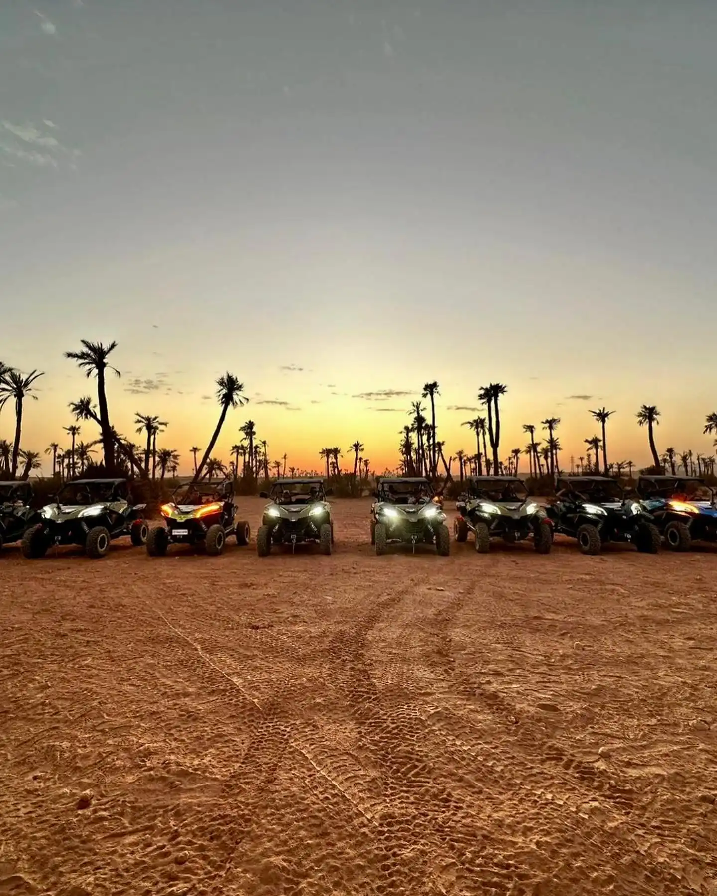 Buggy experience Palmeraie Marrakech