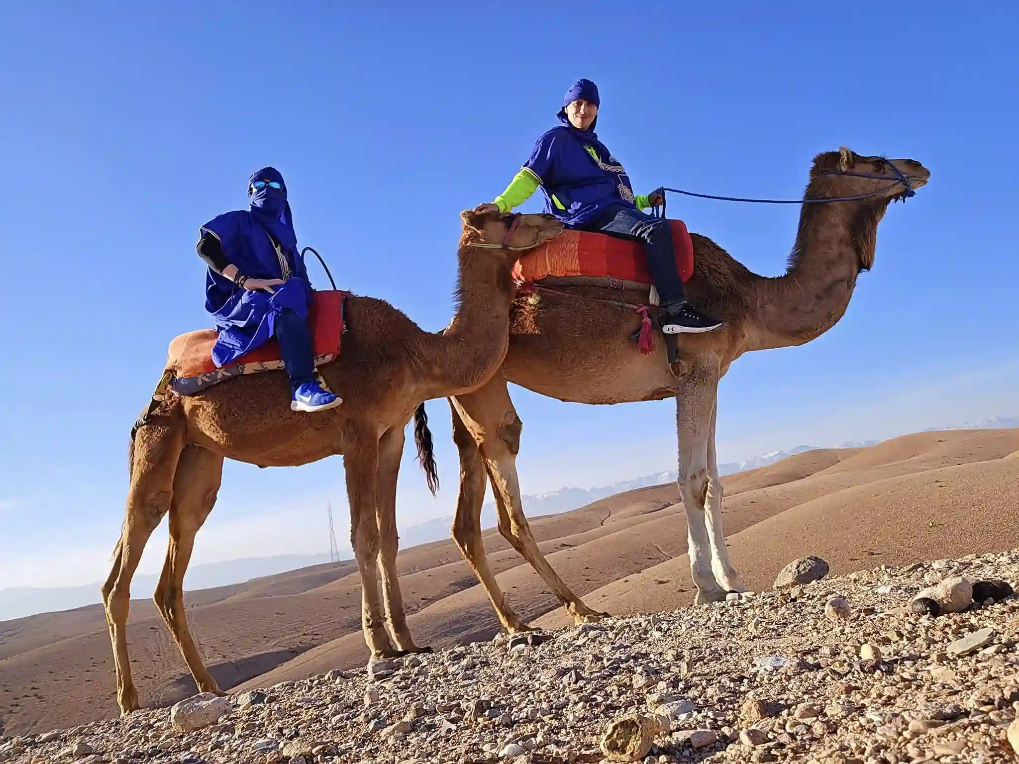Camel ride at sunset