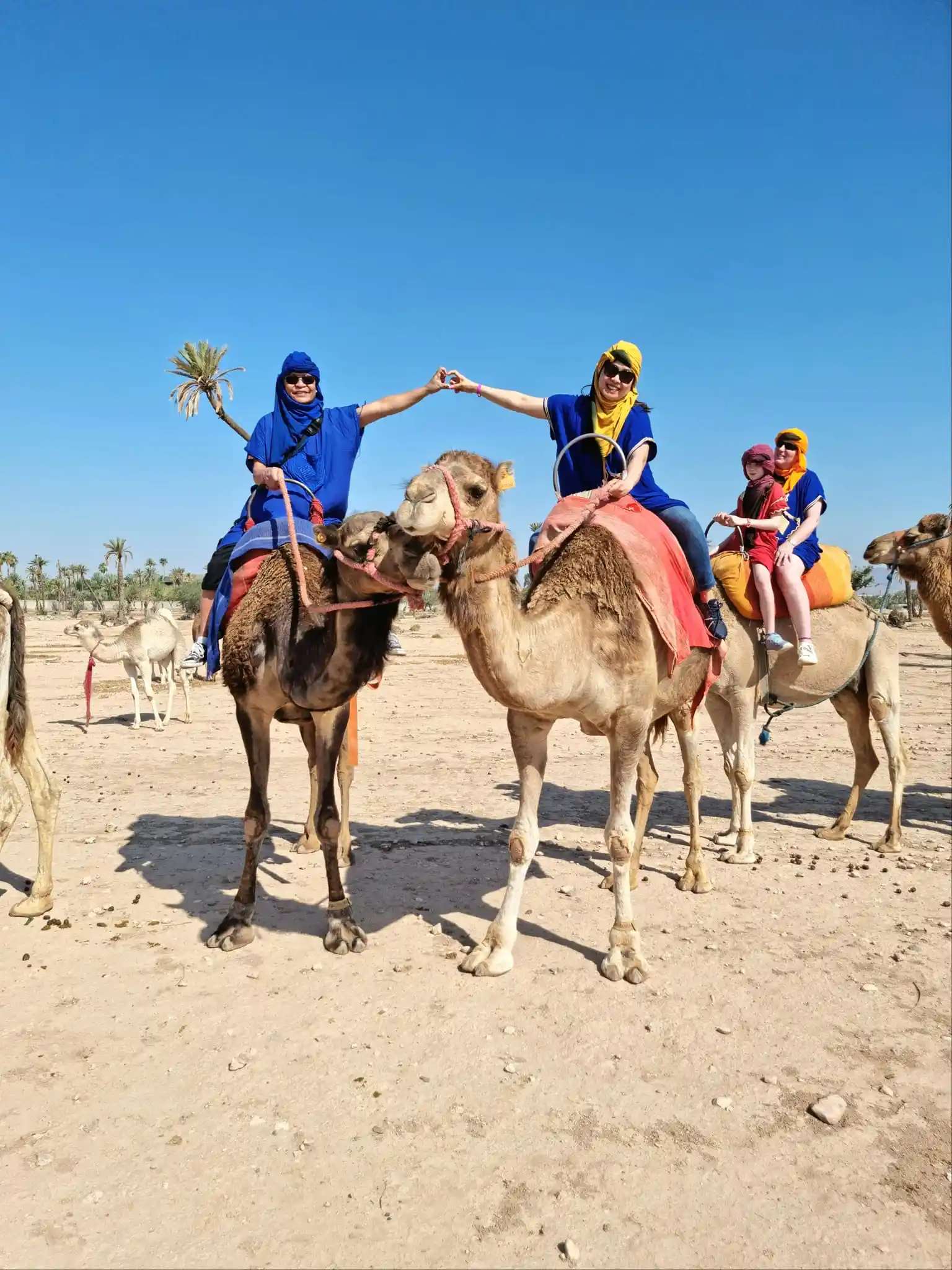 Camel ride in Palmeraie