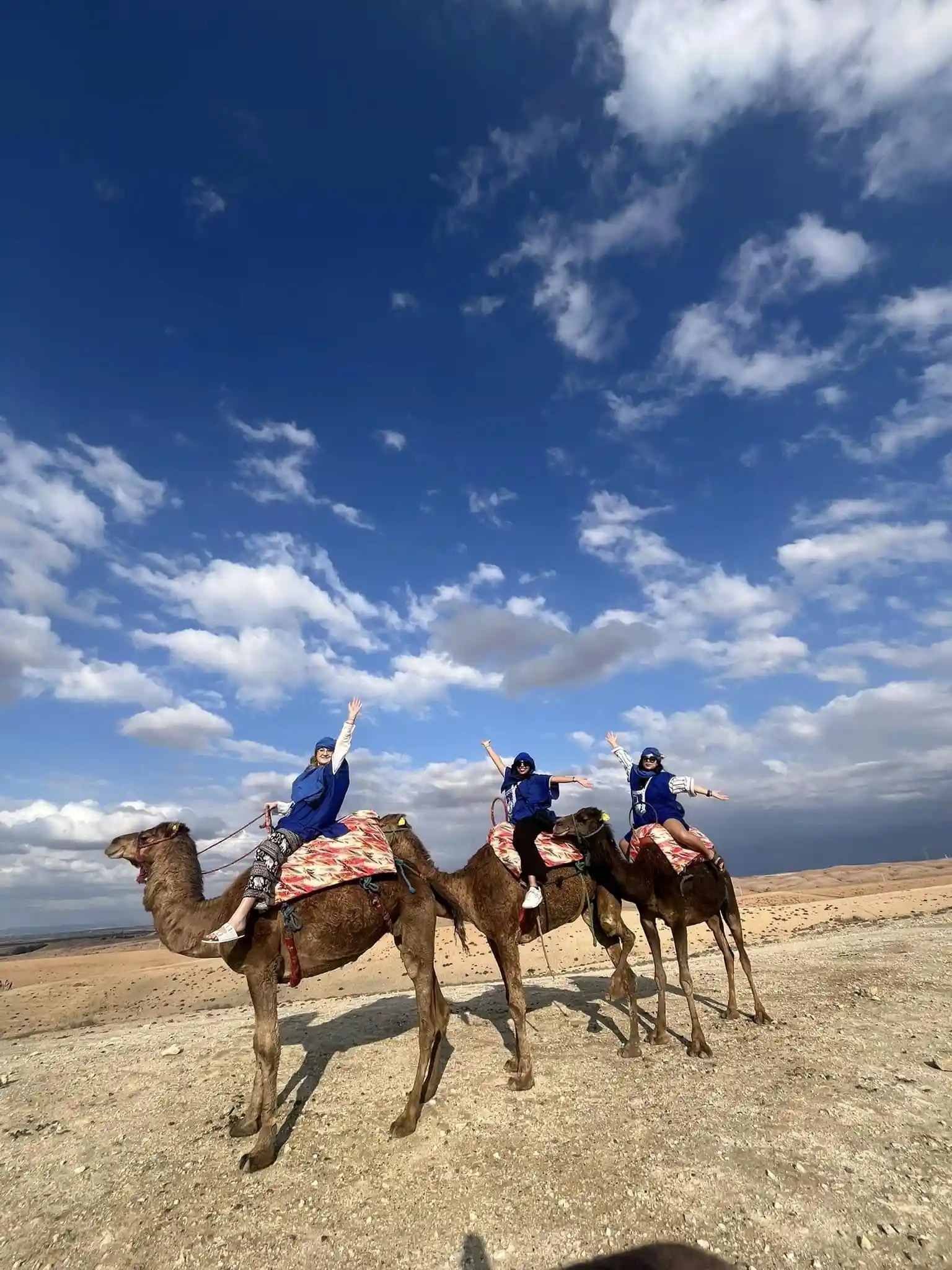 Group quad adventure