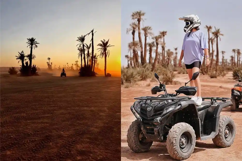 Quad biking in Palm Grove Marrakech