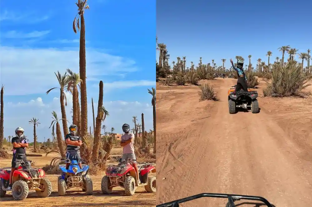 Quad biking in Palm Grove