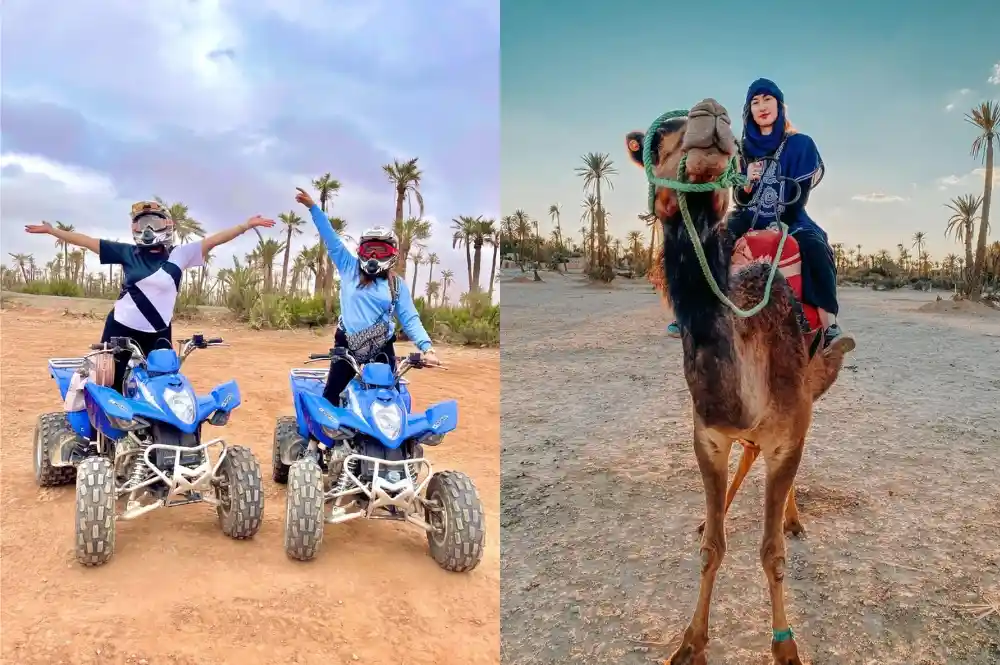Quad and camel experience