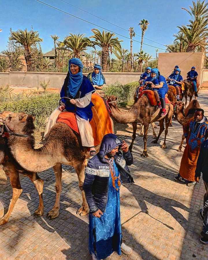 Camel Ride at Palmeraie Marrakech