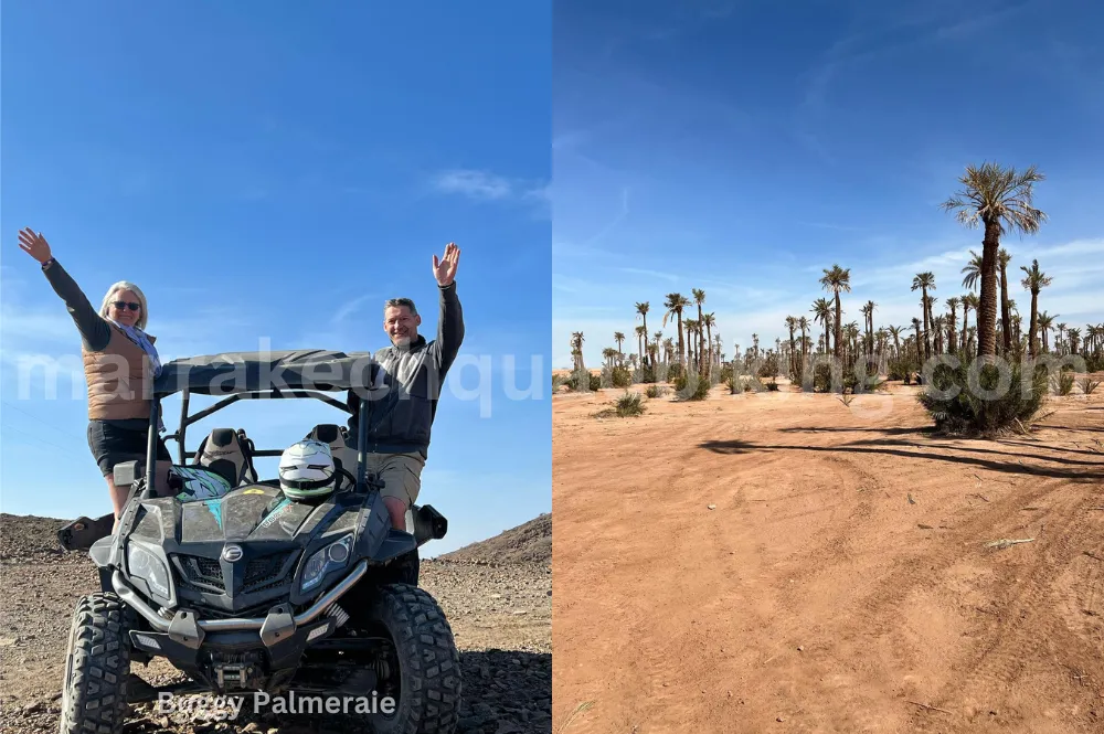 Buggy & Kamel Abenteuer